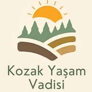 Yaşam vadisi